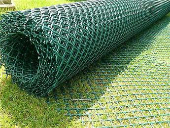 Westminster Field Update