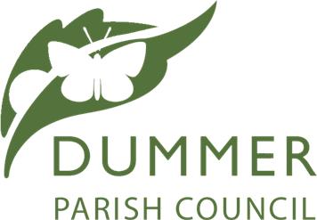 Dummer Housing Need Survey Report