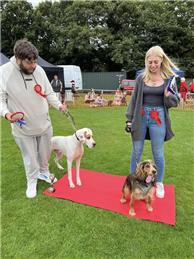 2026 Mundesley Fun Dog Show