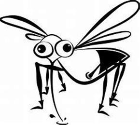 Mosquitoes in the Parish