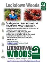 Lockdown Wood