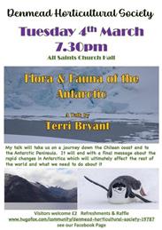 Talk on Tuesday 4th March :- Flora and Fauna of the Antarctic