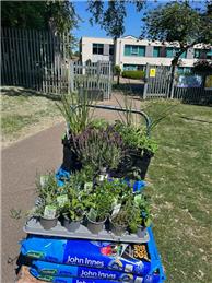 Wainscott Primary School Sensory Garden Grant