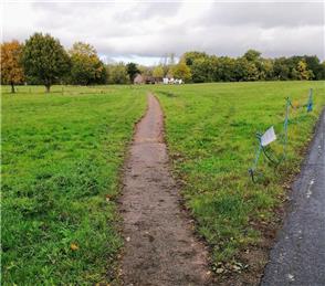 FOOTPATH OVER FOREST GREEN VILLAGE GREEN