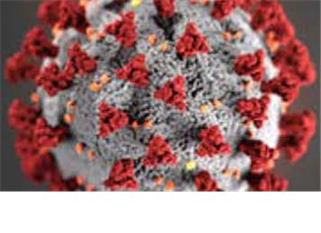 Corona Virus Update - Birling