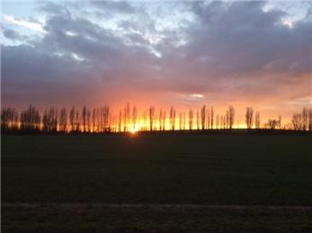 Deadline for Objections now 31 October 2016