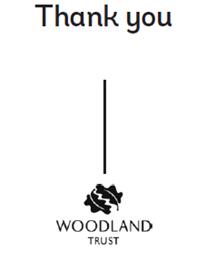 Illegal Rave Dering Wood