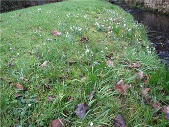 Did Williams Wordsworth visit Hope Bagot?