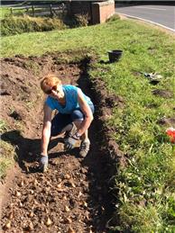 Planting 600 Daffodil Bulbs along the bank at the Fisherman's Car Park in September 2019