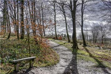 Photo competition 2026