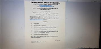 Extraordinary General Meeting - Friday at 4pm