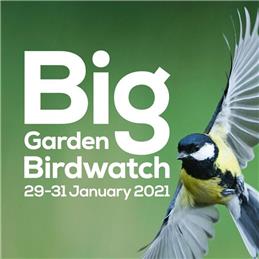 Big Garden Birdwatch 2021