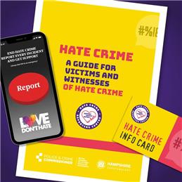 Love Dont Hate reporting app now available across Hampshire and Isle of Wight!