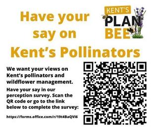 Kent's Plan Bee