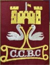 Castle Cary Bowls Club Open Triples Tournament Sunday 15th September 2024