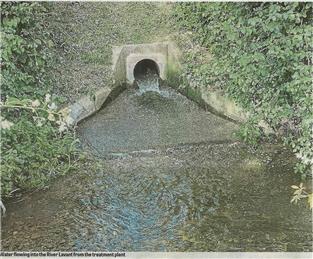River Lavant Pollution Chichester Observer article
