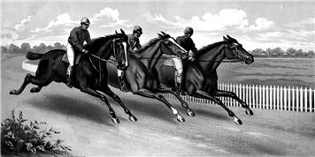 Postponed - Race Night