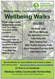 Wellness Walks