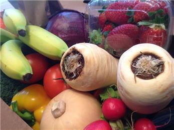 Welcome to our new website