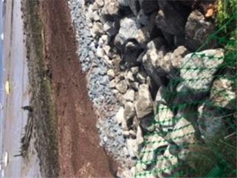 Save Our Seawall
