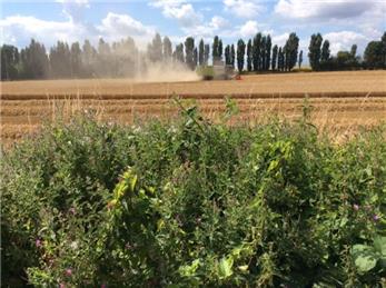 Land West of Town Road - Outline Planning Refused