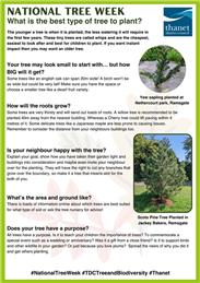 National Tree Week