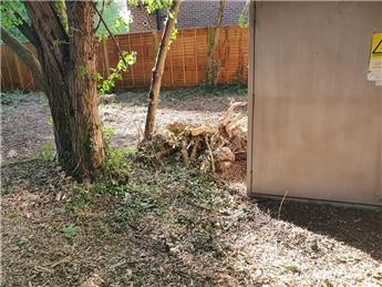 Please don't fly tip your garden waste!!