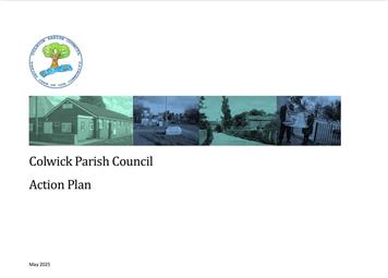 Council Action Plan & Survey
