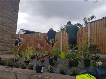 War Memorial Planting