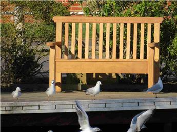 New Button Family Memorial Bench