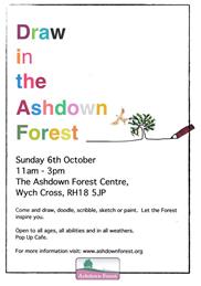 Draw in the Ashdown Forest