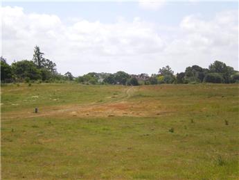 Proposals for Mineral Extraction - Public Consultation