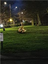 Dunton Green's Little Christmas Tree