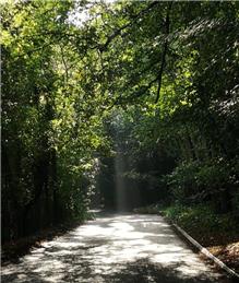 Message from Highways Committee - why it's important to tell us if you've been in a road traffic accident