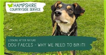 Bag It & Bin It!