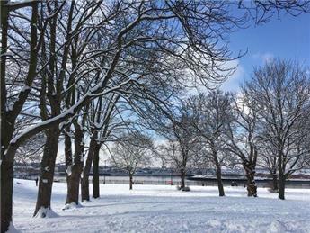 Waste Services Snow Update