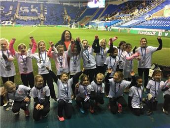 SSE Wildcats - Clarification