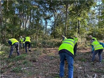 Monday 8th December 2025 Greyfield Wood