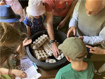 A wide range of moths and bats identified in St Giles’ Churchyard