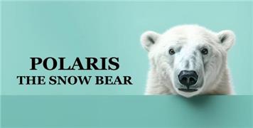 Badapple Theatre Company-Polaris The Snow Bear