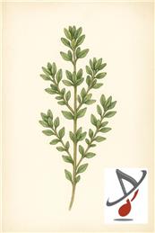 RDCS Spring Concert 2026