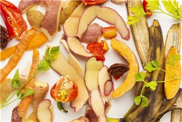 Chichester District Council Food Waste Collections