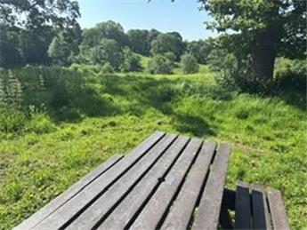 New benches in Turnpike Field