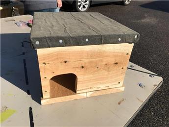 Hedgehog Boxes for sale