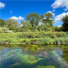 Major funding boost for chalk stream restoration