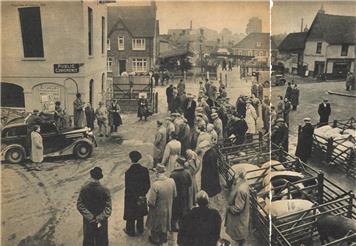 New Photograph added to website