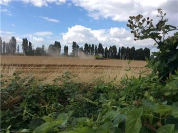 Your Village Needs You