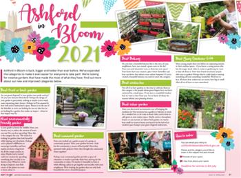 Ashford in Bloom Competition