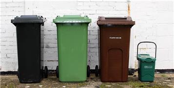 Bin Days