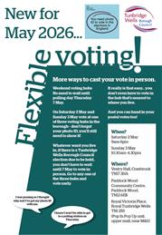 Flexible Voting